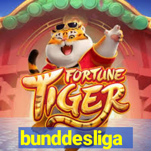 bunddesliga