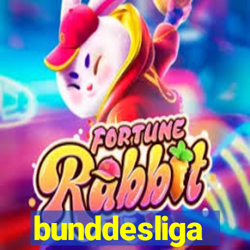 bunddesliga