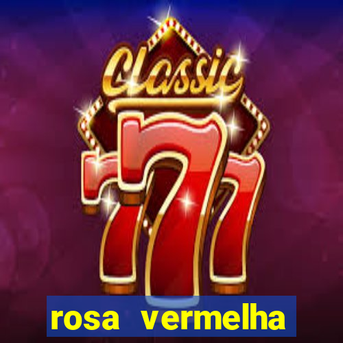 rosa vermelha (letra e cifra)