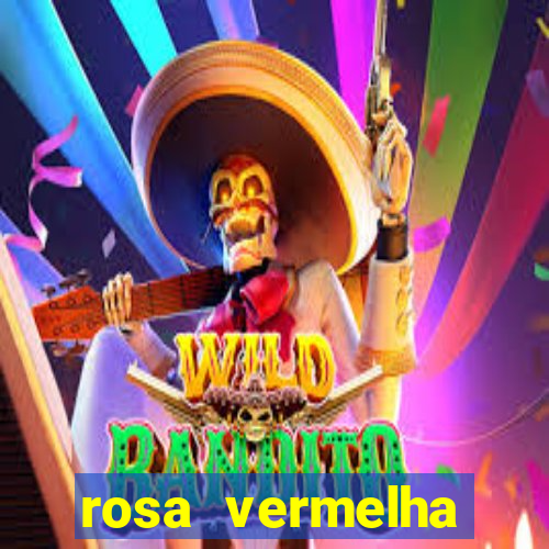 rosa vermelha (letra e cifra)