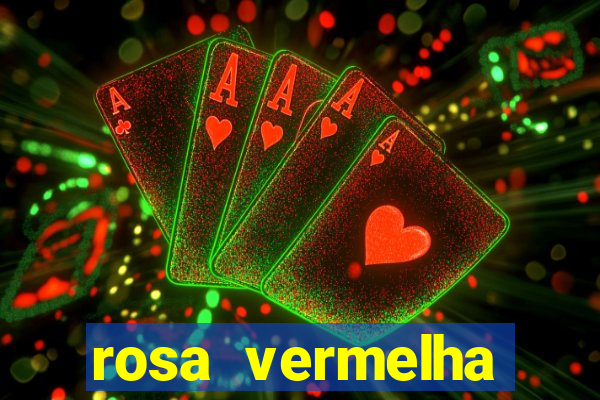 rosa vermelha (letra e cifra)