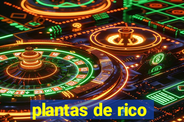 plantas de rico