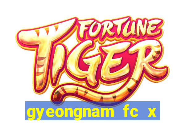 gyeongnam fc x jeonnam dragons