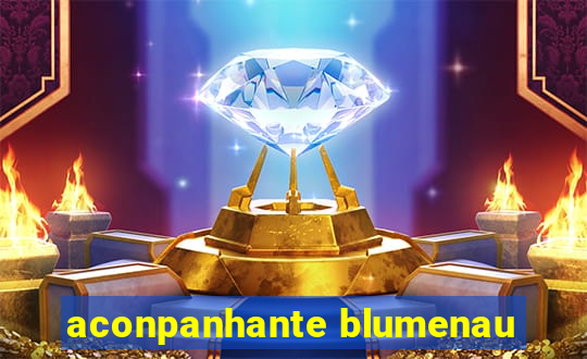 aconpanhante blumenau