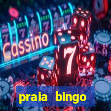 praia bingo download pc