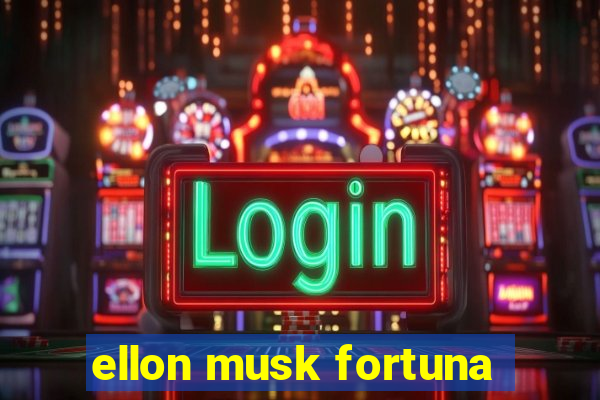 ellon musk fortuna