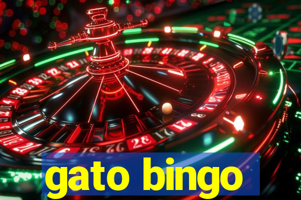 gato bingo