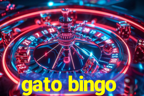 gato bingo