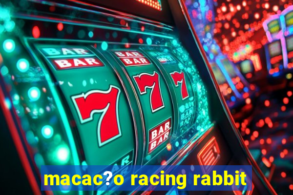 macac?o racing rabbit