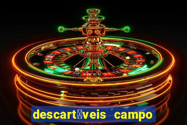 descart谩veis campo grande rj