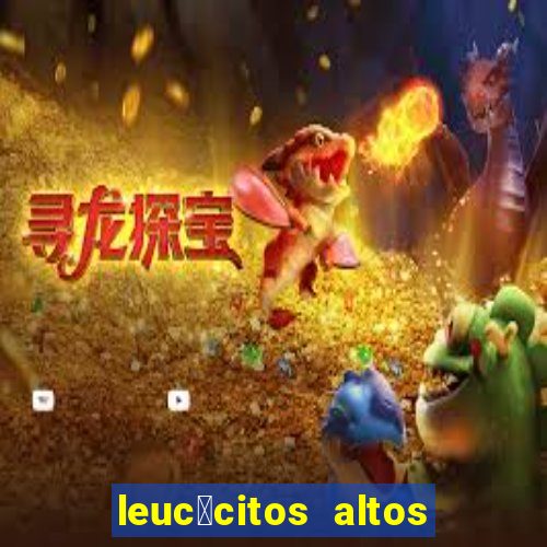 leuc贸citos altos em c茫es