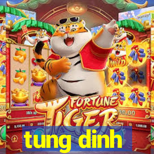 tung dinh