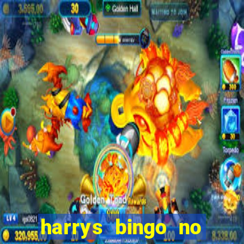 harrys bingo no deposit bonus