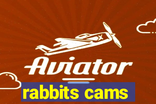 rabbits cams