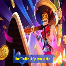 linf贸cito t铆pico alto