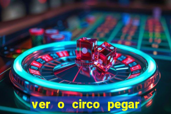 ver o circo pegar fogo significado