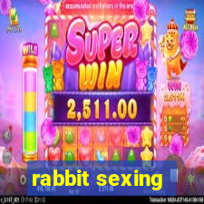 rabbit sexing