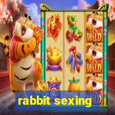 rabbit sexing