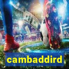 cambaddird