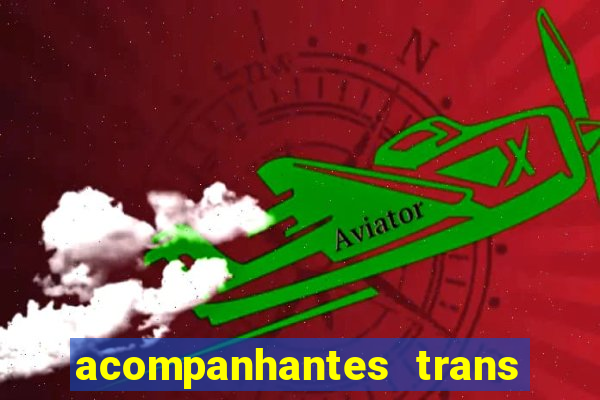 acompanhantes trans porto seguro