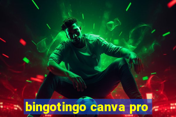 bingotingo canva pro