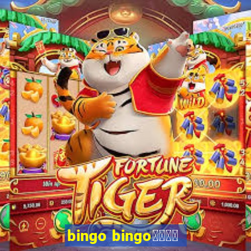 bingo bingo線上投注