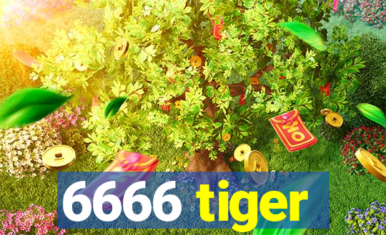 6666 tiger