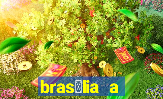 bras铆lia a ilh茅us dist芒ncia