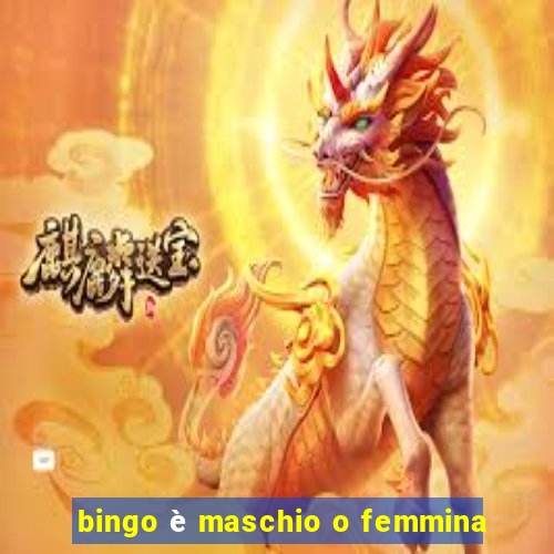 bingo è maschio o femmina