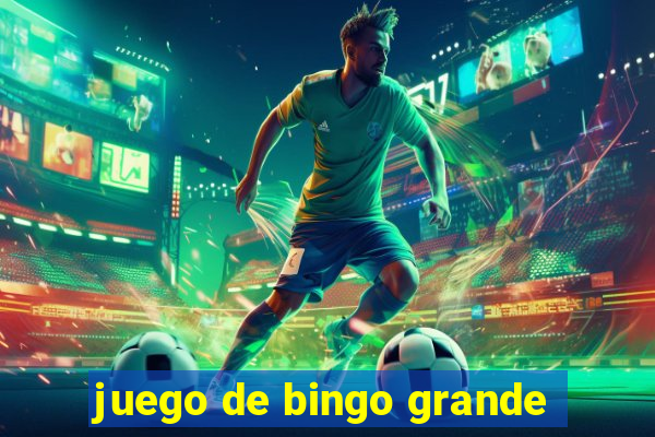 juego de bingo grande