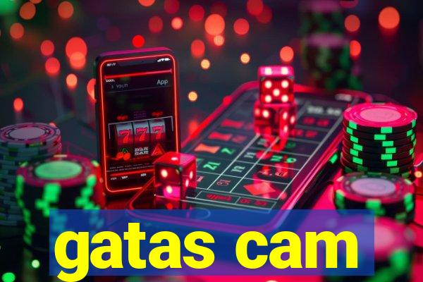 gatas cam