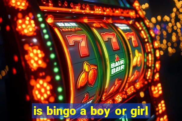 is bingo a boy or girl