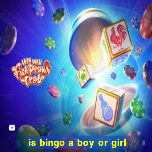 is bingo a boy or girl