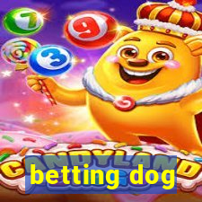 betting dog