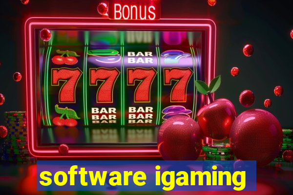 software igaming