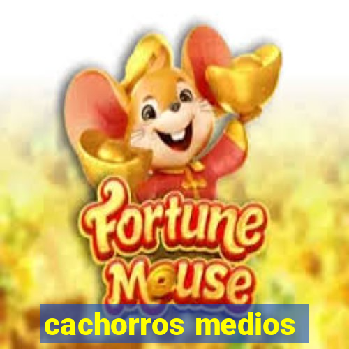 cachorros medios