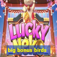 big bonus birds