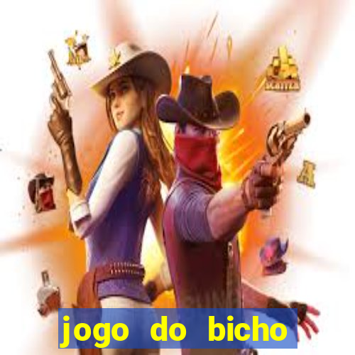 jogo do bicho tipos de apostas