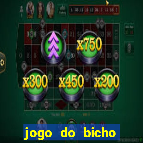 jogo do bicho tipos de apostas