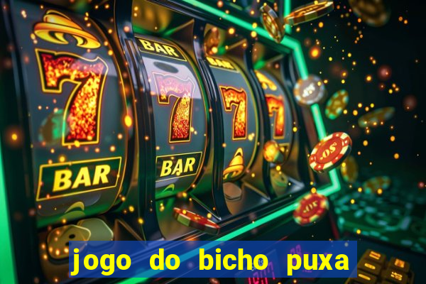 jogo do bicho puxa de dona maria