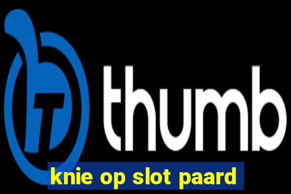 knie op slot paard