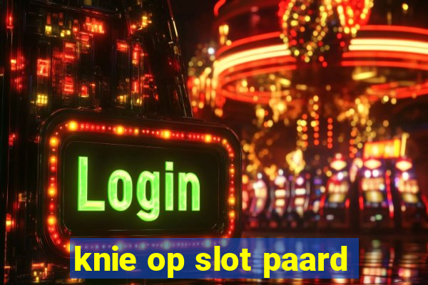 knie op slot paard