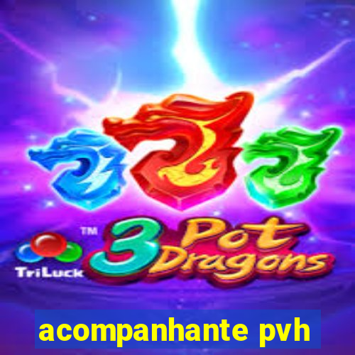 acompanhante pvh