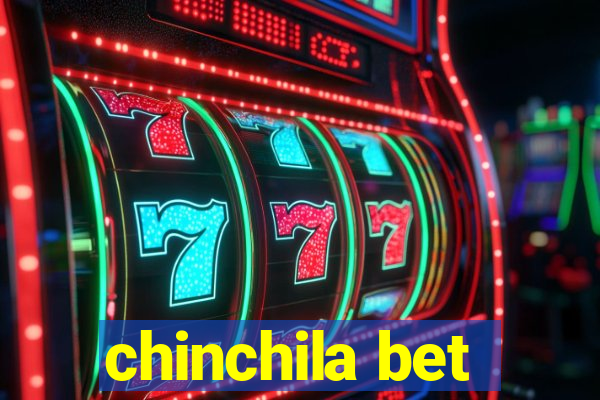 chinchila bet