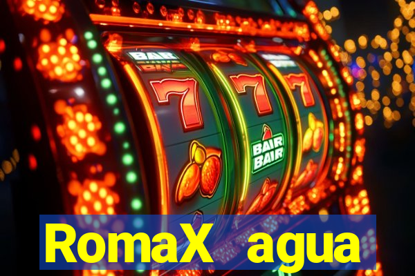 RomaX agua sanitaria fispq agua sanitaria romax