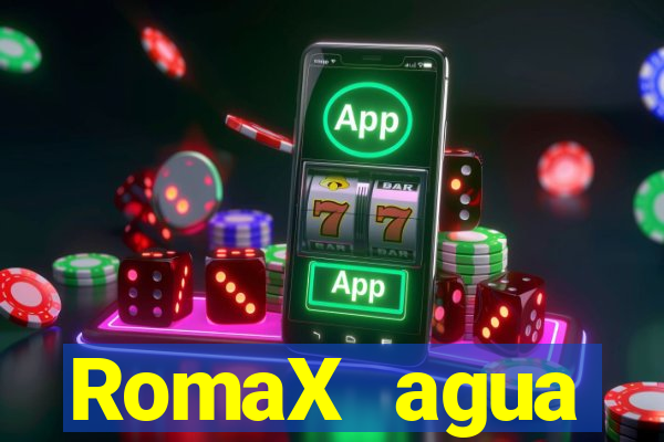 RomaX agua sanitaria fispq agua sanitaria romax