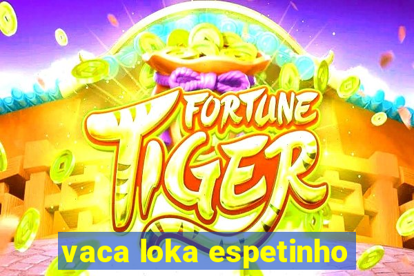 vaca loka espetinho