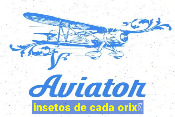 insetos de cada orix谩