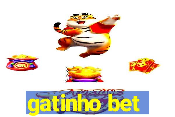 gatinho bet