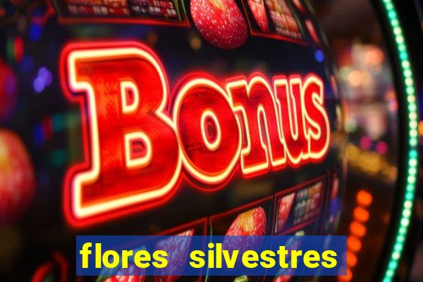 flores silvestres desbravadores desbravadores 25 flores silvestres e seus nomes